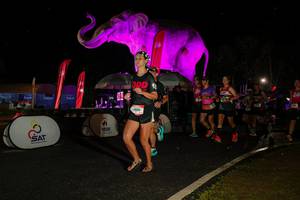 BIB: 
                            <button type="button" onclick="openModal(26535049)" class="btn btn-primary btn-sm float-right btn-popup" data-toggle="modal" data-target=".modal-high-quality">
                        <i class="fas fa-shopping-cart"></i> Add to Cart
                    </button>
                                            <button type="button" onclick="isThisMe(26535049, true)" class="btn btn-success btn-sm float-right btn-popup btn-isme hidden" data-toggle="tooltip" data-placement="bottom" title="นี่คือรูปของคุณใช่ไหม คลิกที่นี่เพื่อเอาเข้าอัลบั้ม">
                        <i class="fas fa-plus"></i> Add to album
                    </button>
                    <button type="button" onclick="isThisMe(26535049, false)" class="btn btn-warning btn-sm float-right btn-popup btn-isnotme hidden">
                        <i class="fas fa-ban"></i> Remove from album
                    </button>